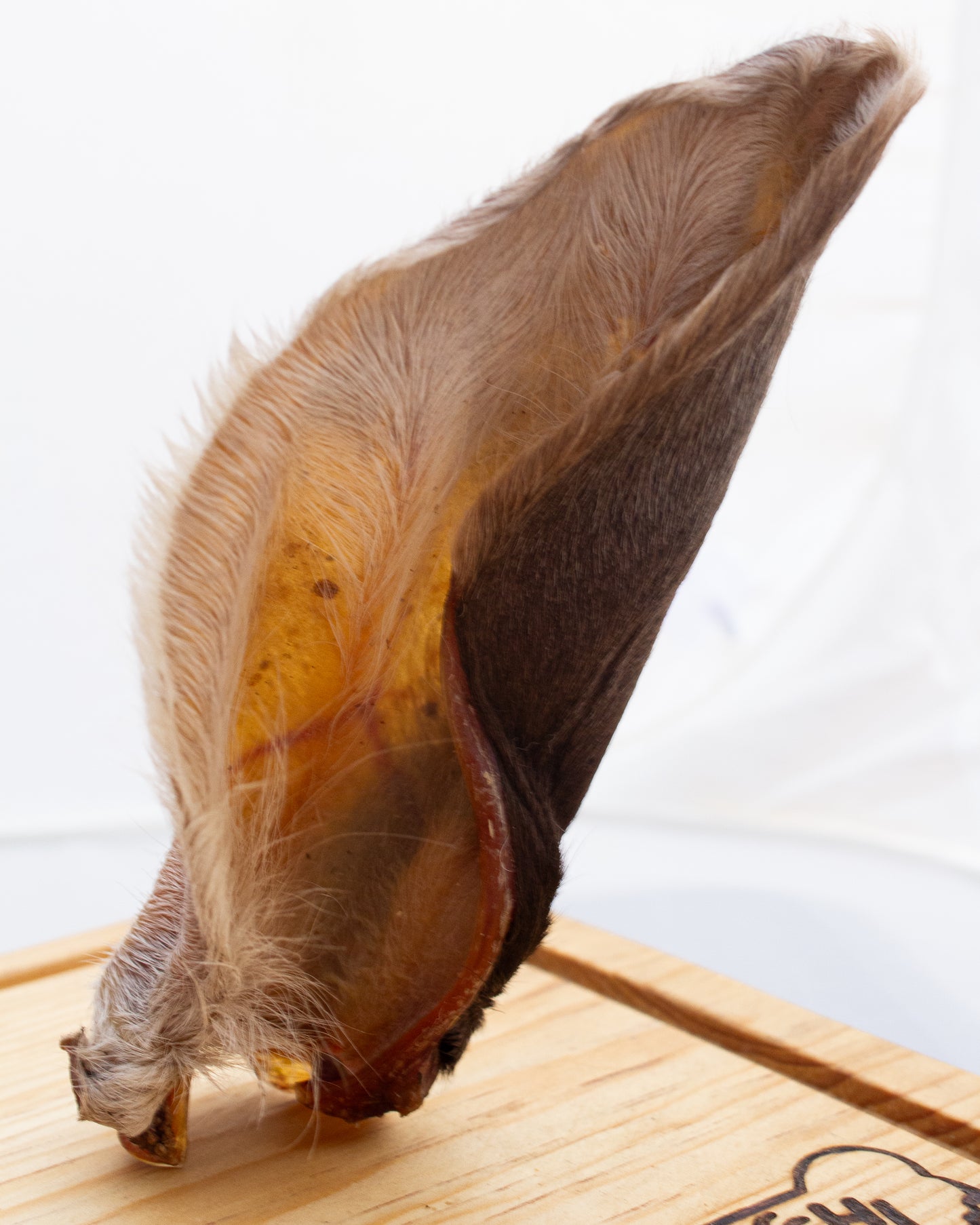 Oreja de Res Deshidratada